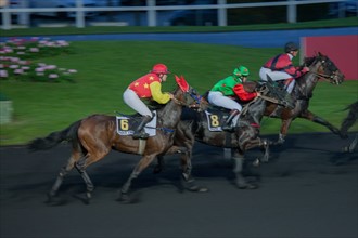 France, Ile de France, Val-de-Marne, Boissy-Saint-Leger, centre d'entrainement de Grosbois, chateau, trot, courses hippiques,