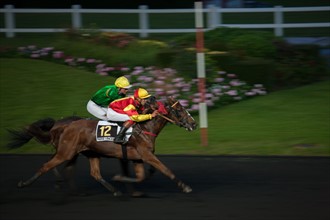 France, Ile de France, Val-de-Marne, Boissy-Saint-Leger, centre d'entrainement de Grosbois, chateau, trot, courses hippiques,