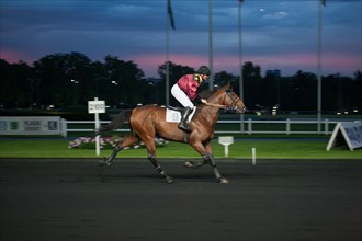 France, Ile de France, Val-de-Marne, Boissy-Saint-Leger, centre d'entrainement de Grosbois, chateau, trot, courses hippiques,