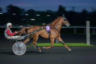 France, Ile de France, Val-de-Marne, Boissy-Saint-Leger, centre d'entrainement de Grosbois, chateau, trot, courses hippiques,