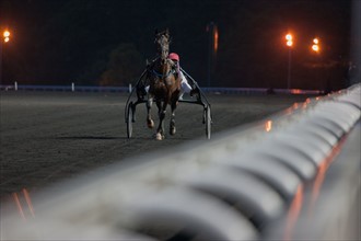 France, Ile de France, Val-de-Marne, Boissy-Saint-Leger, centre d'entrainement de Grosbois, chateau, trot, courses hippiques,