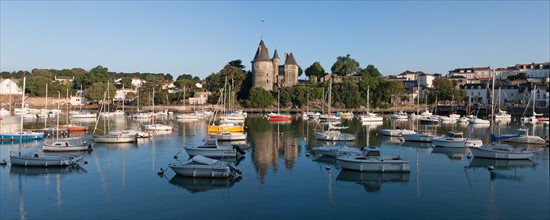 France, région Pays de la Loire, Loire Atlantique, Pornic, port et château.