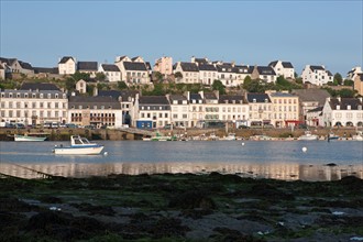 France, région Bretagne, Brittany, Finistère, Cap Sizun,