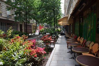 France, Région Ile de France, Paris 4e arrondissement, le Marais, Rue du Trésor, fleurs et