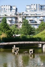 France, Région Ile de France, Paris 12e arrondissement, Parc de Bercy, étang avec canards et