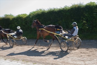 Manche,  Haras de Bellevent