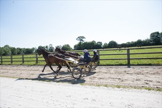 France, Région Basse Normandie, Manche, Haras de Bellevent, écurie Pierre Levesque, entraînement de