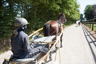 Manche,  Haras de Bellevent