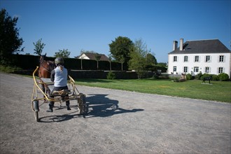 Manche,  Haras de Bellevent