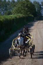 France, Région Basse Normandie, Manche, Haras de Bellevent, écurie Pierre Levesque, entraînement de