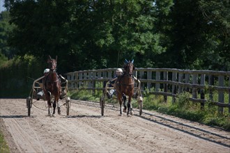 France, Région Basse Normandie, Manche, Haras de Bellevent, écurie Pierre Levesque, entraînement de