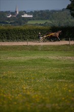 France, Région Basse Normandie, Manche, Haras de Bellevent, écurie Pierre Levesque, entraînement de