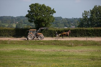 France, Région Basse Normandie, Manche, Haras de Bellevent, écurie Pierre Levesque, entraînement de