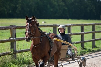 France, Région Basse Normandie, Manche, Haras de Bellevent, écurie Pierre Levesque, entraînement de