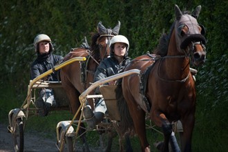 France, Région Basse Normandie, Manche, Haras de Bellevent, écurie Pierre Levesque, entraînement de