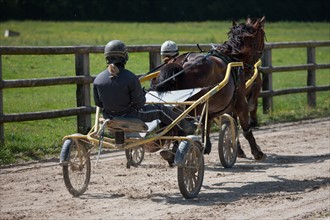 France, Région Basse Normandie, Manche, Haras de Bellevent, écurie Pierre Levesque, entraînement de