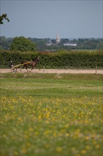 Manche,  Haras de Bellevent