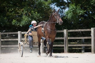 France, Région Basse Normandie, Manche, Haras de Bellevent, écurie Pierre Levesque, entraînement de