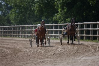 France, Région Basse Normandie, Manche, Haras de Bellevent, écurie Pierre Levesque, entraînement de