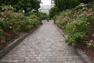 Allée pavée à Paris