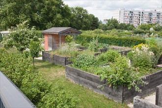 France, Région Ile de France, Seine Saint Denis, Bagnolet, Parc Départemental Jean Moulin, jardin