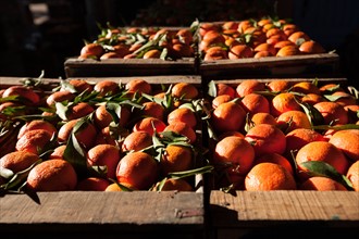 Marrakech,  souk