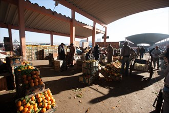 Afrique du nord, Maroc, Marrakech, souk, marché de gros, alimentaire,