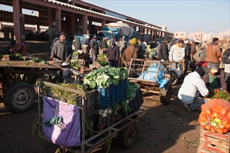 Afrique du nord, Maroc, Marrakech, souk, marché de gros, alimentaire,