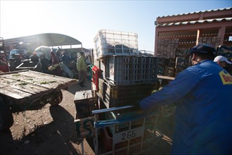 Afrique du nord, Maroc, Marrakech, souk, marché de gros, alimentaire,