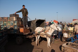 Marrakech,  souk