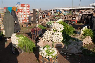 Afrique du nord, Maroc, Marrakech, souk, marché de gros, alimentaire,