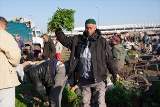 Afrique du nord, Maroc, Marrakech, souk, marché de gros, alimentaire,