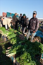 Afrique du nord, Maroc, Marrakech, souk, marché de gros, alimentaire,