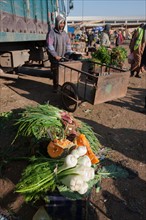 Afrique du nord, Maroc, Marrakech, souk, marché de gros, alimentaire,