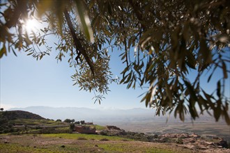 Afrique du nord, Maroc, Marrakech, pied du Haut Atlas, route d'Amizmiz, en direction de Sidi