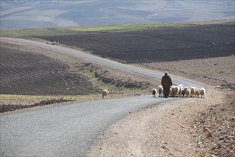 Marrakech,  pied du Haut Atlas