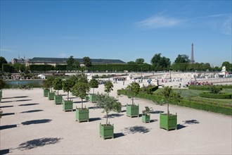 Jardin Des Tuileries,