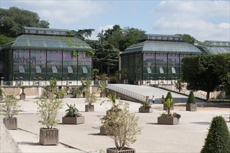 Jardin Des Plantes, greenhouse