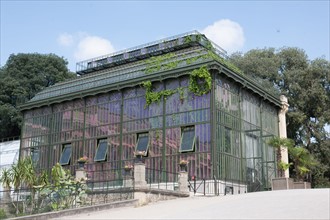 Jardin Des Plantes, greenhouse