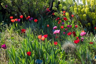 Bois De Vincennes, Parc Floral De Paris