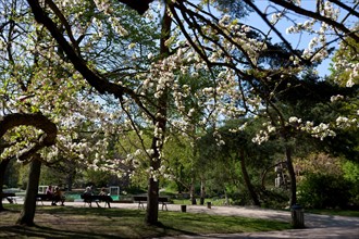 Bois De Vincennes, Parc Floral De Paris