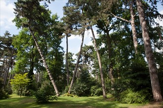 Bois De Vincennes, Parc Floral De Paris