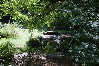 Forêt De Meudon, bois et nature autour de L'étang de Chalais