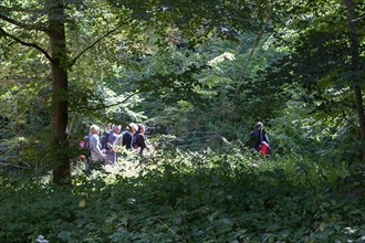 Forêt De Meudon, bois et nature autour de L'étang de Chalais