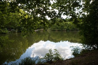 Forêt De Meudon, bois et nature autour de L'étang de Trivaux