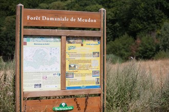 Forêt De Meudon, Bois Et Nature Autour De L'Etang De Meudon