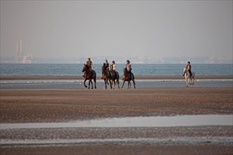 Houlgate, Plage