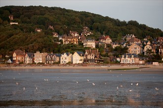 Houlgate, Plage