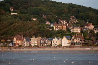 Houlgate, Plage