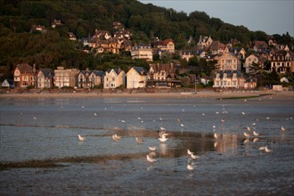 Houlgate, Plage